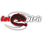 cat spirit logo